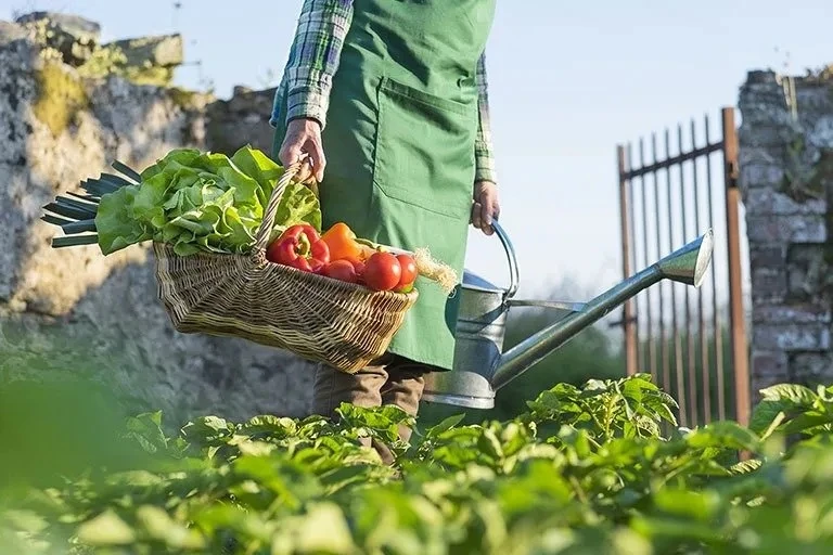 Organik tarım ürünlerinin işlenerek ihraç edilmesi tavsiyesi