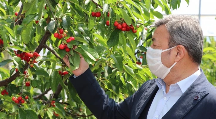 "Organikte öncü şehiriz"