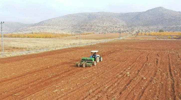 Örnek köye arpa ve buğday tohumu ekildi