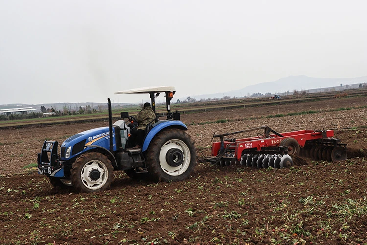 Osmaniye'de afetzede üreticiler mısır ekimi yaptı