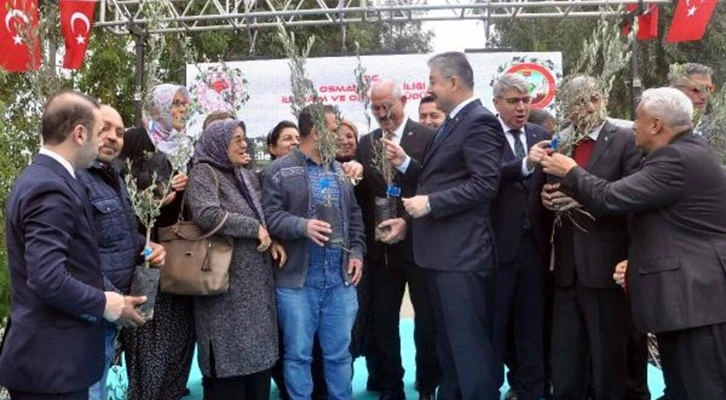 Osmaniye’de çiftçilere 58 bin 525 adet zeytin fidanı dağıtıldı