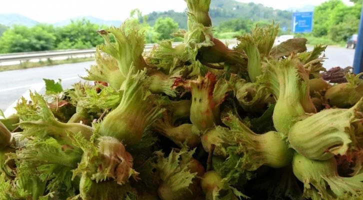 Samsun ili Türkiye'de 2.sırada