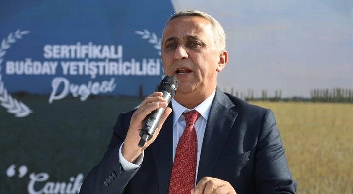 Samsun'da çiftçilere yerli buğday tohumu desteği