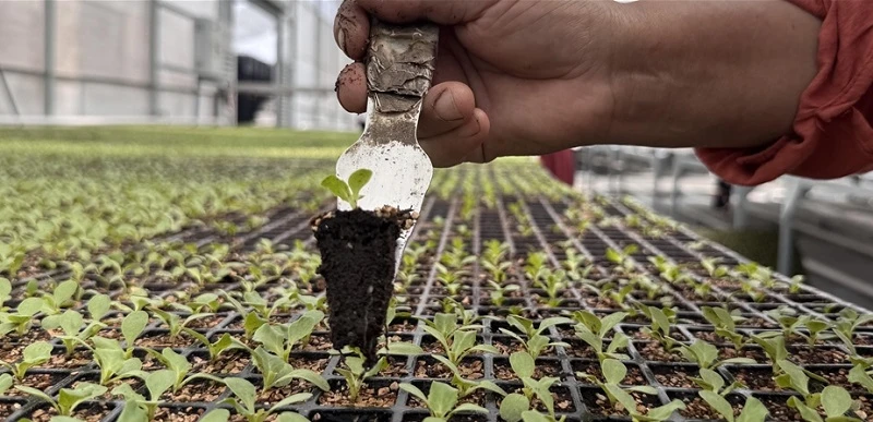 Tarım bölgelerindeki projelere 6 milyar liralık kredi ve hibe desteği