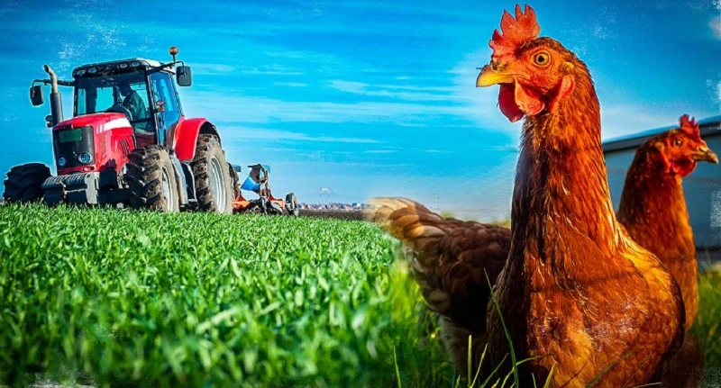 Tarım devi Türkiye