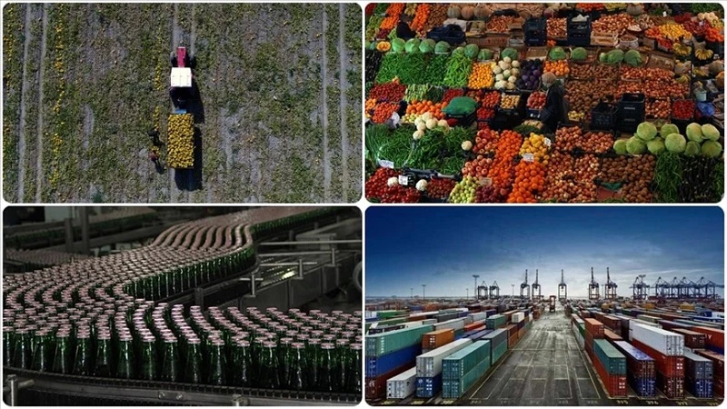 Tarım, gıda ve içecek sektörü ihracatında artış