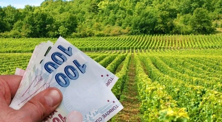 Tarım için 'faizsiz banka' geliyor
