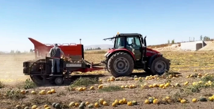 Tarım İl Müdürü Seçen, kabak çekirdeği hasadına katıldı