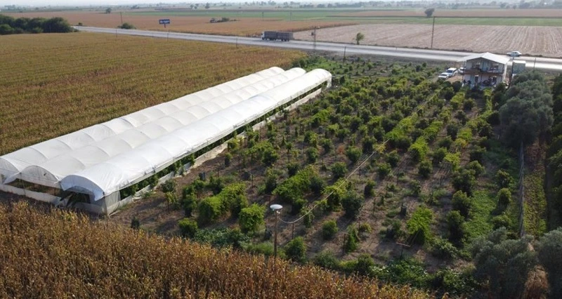 Tarım ve Orman Bakanlığı Bilecik'e 105 milyonluk dev yatırım yapacak