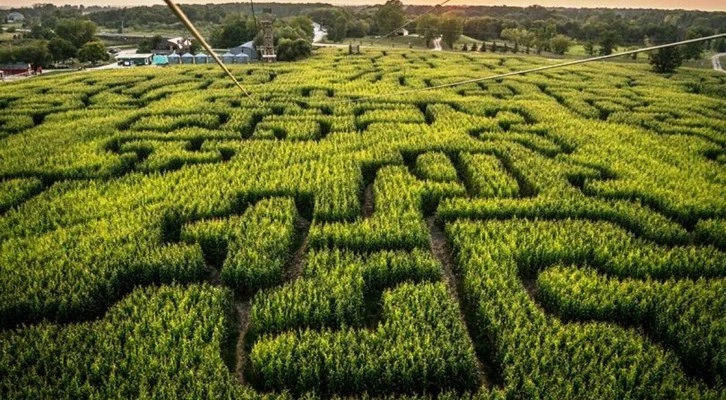 Tarım ve Turizm aynı projede buluştu, “Mısır Labirenti”