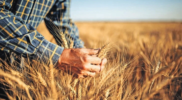 Tarım yatırımlarında hibe destekleri artırıldı