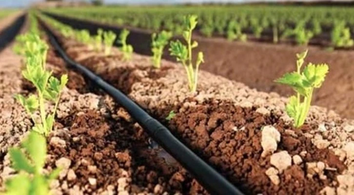 Tarımda akıllı sulama sistemi ile büyük tasarruf 