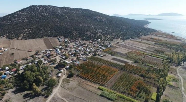 Teknelerle Mada Adası'na ulaşıp, hayvanları aşıladılar