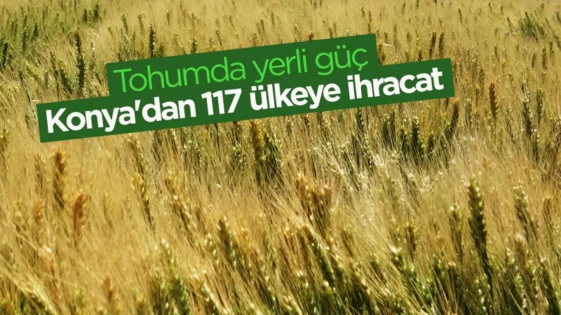 Tohumda yerli güç: Konya'dan 117 ülkeye ihracat