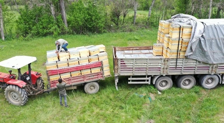 Tozanlı Vadisi'nde organik bal üretimi