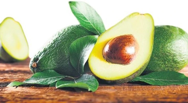 Tropikal Meyve Festivali'nin yıldızı Avokado