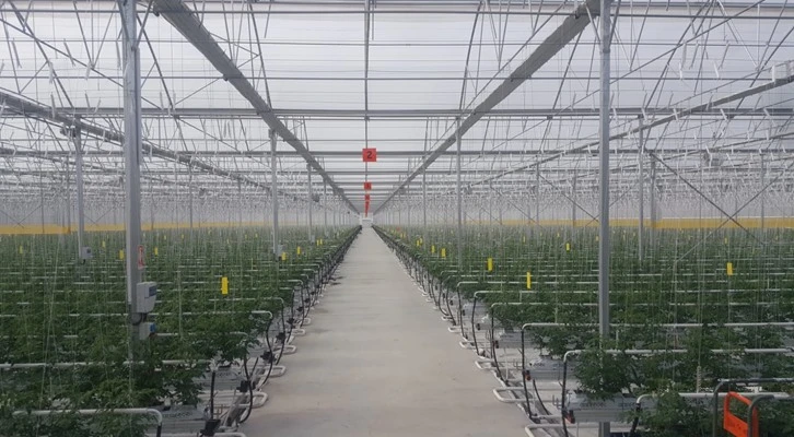 Türkiye’nin en modern serası tamamlandı