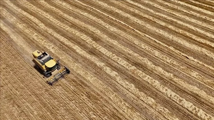 Türkiye’nin tarım envanteri çıkarılıyor: 450 bin çiftçi kayıt altına alındı