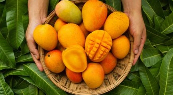 Türkiye’nin tropikal meyve ihracatı 7 milyon dolara koşuyor