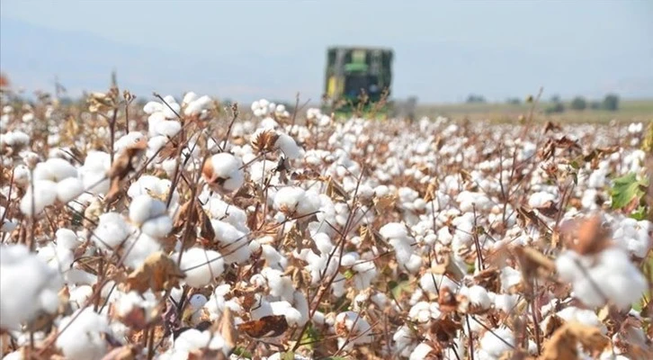 Urfalı çiftçiler müjde: Maliyet düşecek!