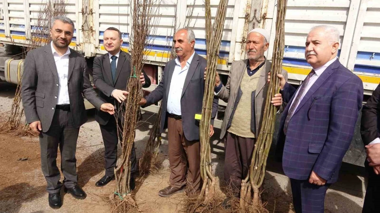 Van’da 31 bin adet meyve fidanı dağıtıldı
