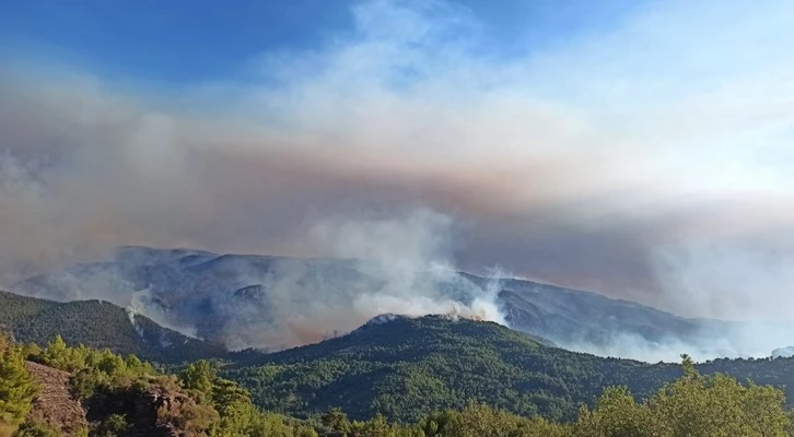 ‘‘Yangınları tek merkezden koordine ettik, İHA’lar ve gözetleme kuleleri sayesinde anlık müdahalede bulunduk’’