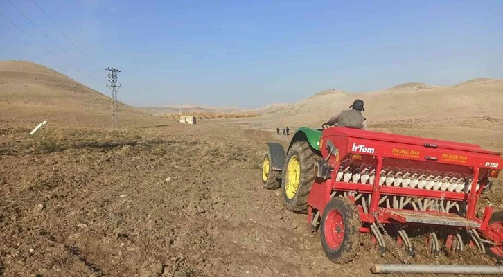 Yerli, ekmeklik ve makarnalık buğdaylarına deneme ekimi yapıldı