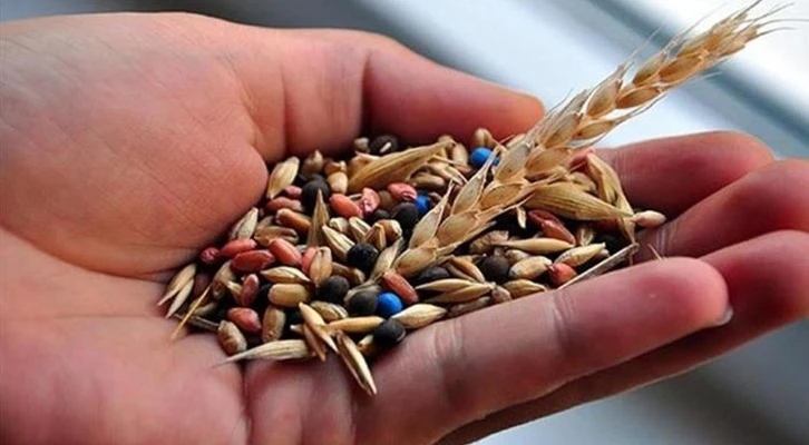 Yozgat'ta 40 çeşit yerli buğday tohumuyla deneme ekimi yapıldı