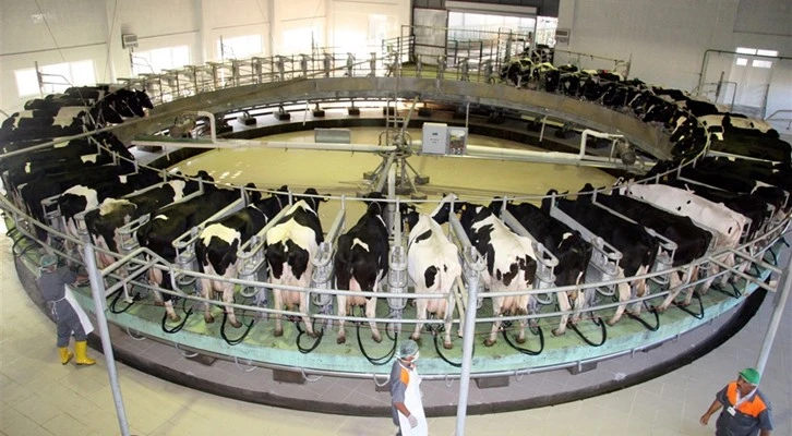 “1 litre çiğ süt satan üreticimiz, karşılığında 1.5 kilogram yem alabilmelidir”