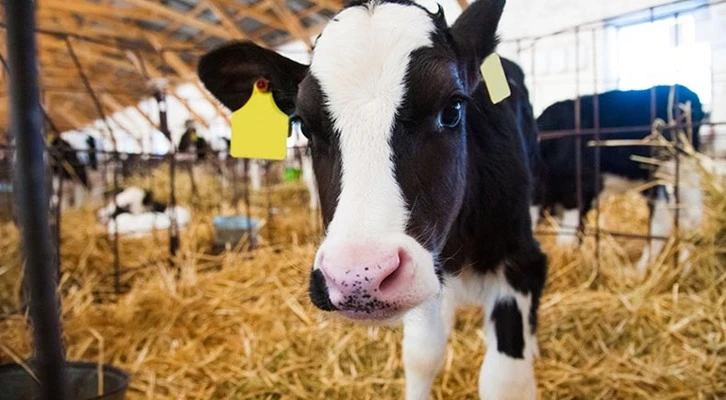 2023'den itibaren IPARD destekleri 81 ilde uygulanacak!