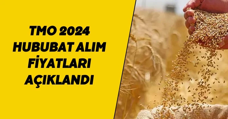 2024 hububat alım fiyatları açıklandı!