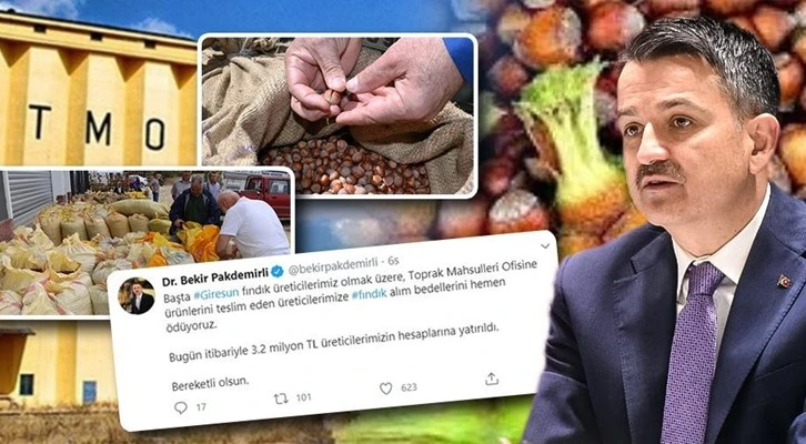 3,2 milyon lira fındık üreticilerinin hesaplarına yatırıldı 