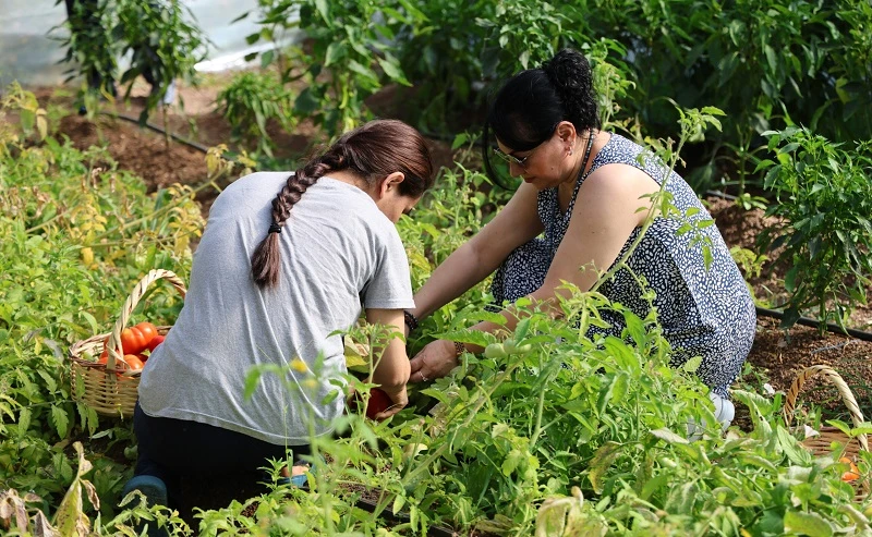 Adana'da Ruh Sağlığı Hastanesi'nde Tarım Terapisi