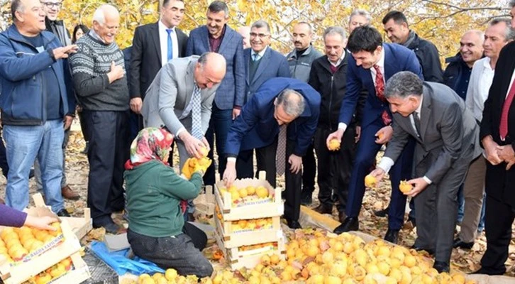 Adıyaman’da ’Cennet Hurması’ hasadı başladı