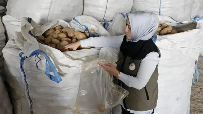 Afyonkarahisar’dan Tunus’a 132 ton patates ihracatı
