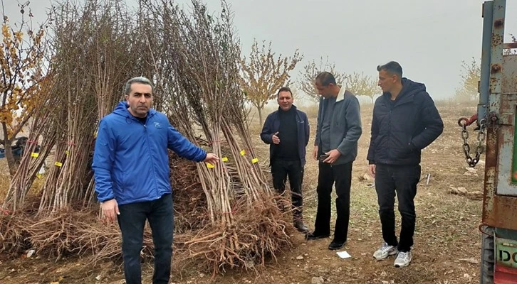 Malatya Akçadağ'da 540 adet sertifikalı badem fidanı dağıtıldı