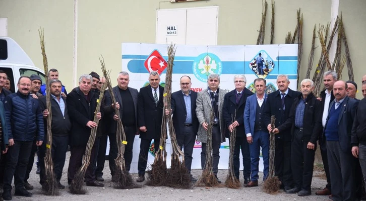 Akhisarlı üreticiye fidan desteği