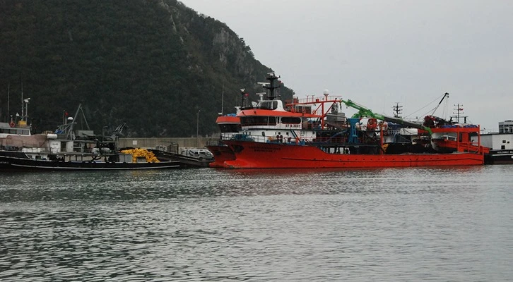 Amasra'da balıkçılar 375 ton hamsi yakaladı