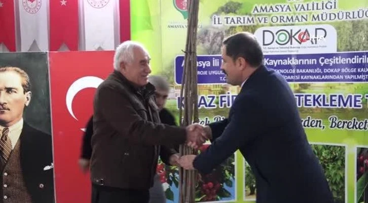 Amasya'da çiftçilere 22 bin kiraz fidanı dağıtıldı