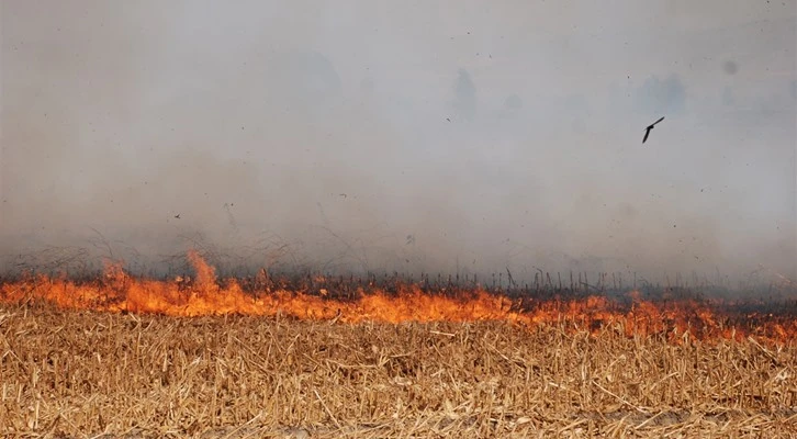 ''Anız yakmak toprağın verimini yakmaktır''