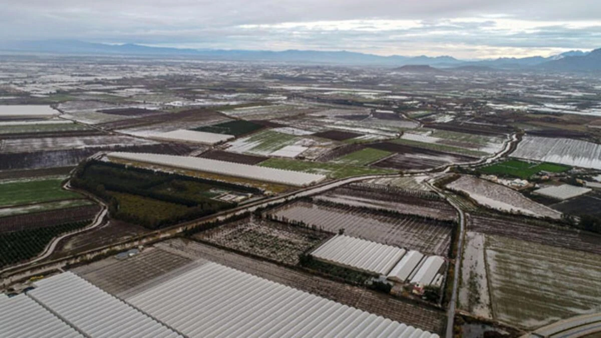 Antalya ihracatında tarım rekoru