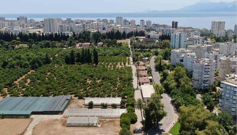 Antalya'da tarım topraklarının yüzde 17'si kayboldu