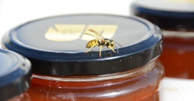 Arıcılardan deprem bölgesine 1200 kavanoz bal