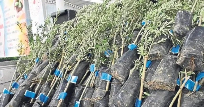 Aydın’da tarımsal seferberlik