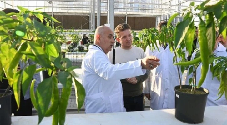 Bakan Kirişci, Kocaeli'de Ar-Ge seralarında