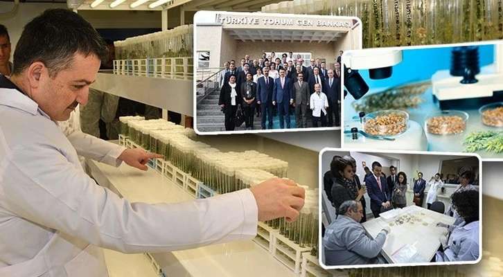 Bakan Pakdemirli “115 bin tohum koruma altında”