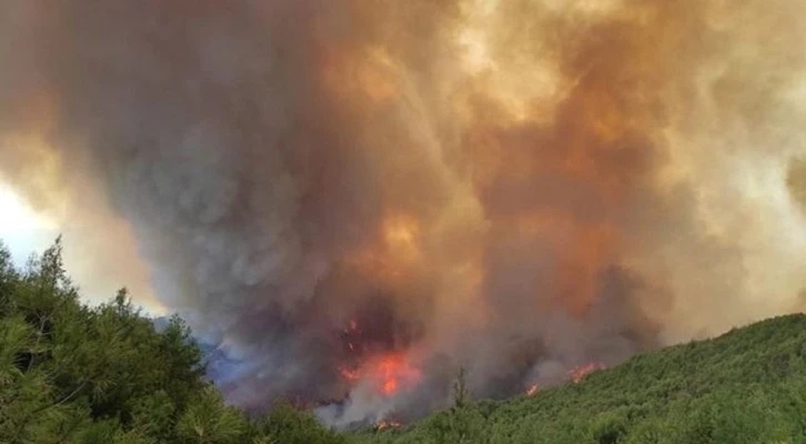 Bakan Pakdemirli; Geleceğimize nefes olmak için tüm halkımızı ağaçlandırma çalışmalarına davet ediyorum