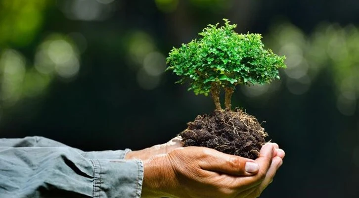 Bakan Pakdemirli'den Dünya Çevre Günü mesajı