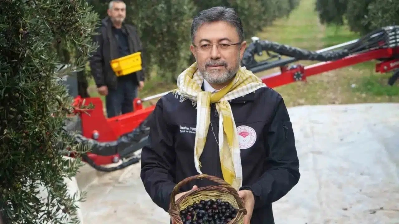 Bakan Yumaklı: Türkiye'nin kendine yetecek zeytinyağı var