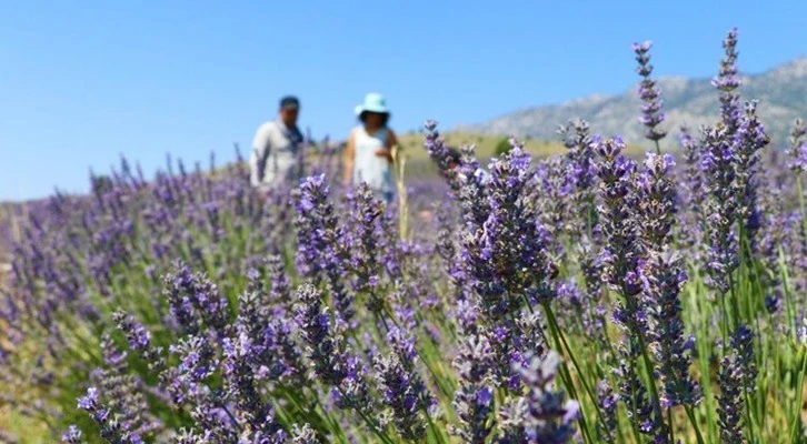 Bakanlık açıkladı: Türkiye'nin en büyüğü Elbistan'da!